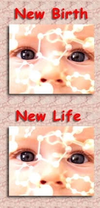 new-birth-new-life